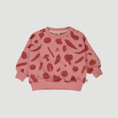 Baby French Terry Sweatshirt - Veggie Fiesta/ Blush