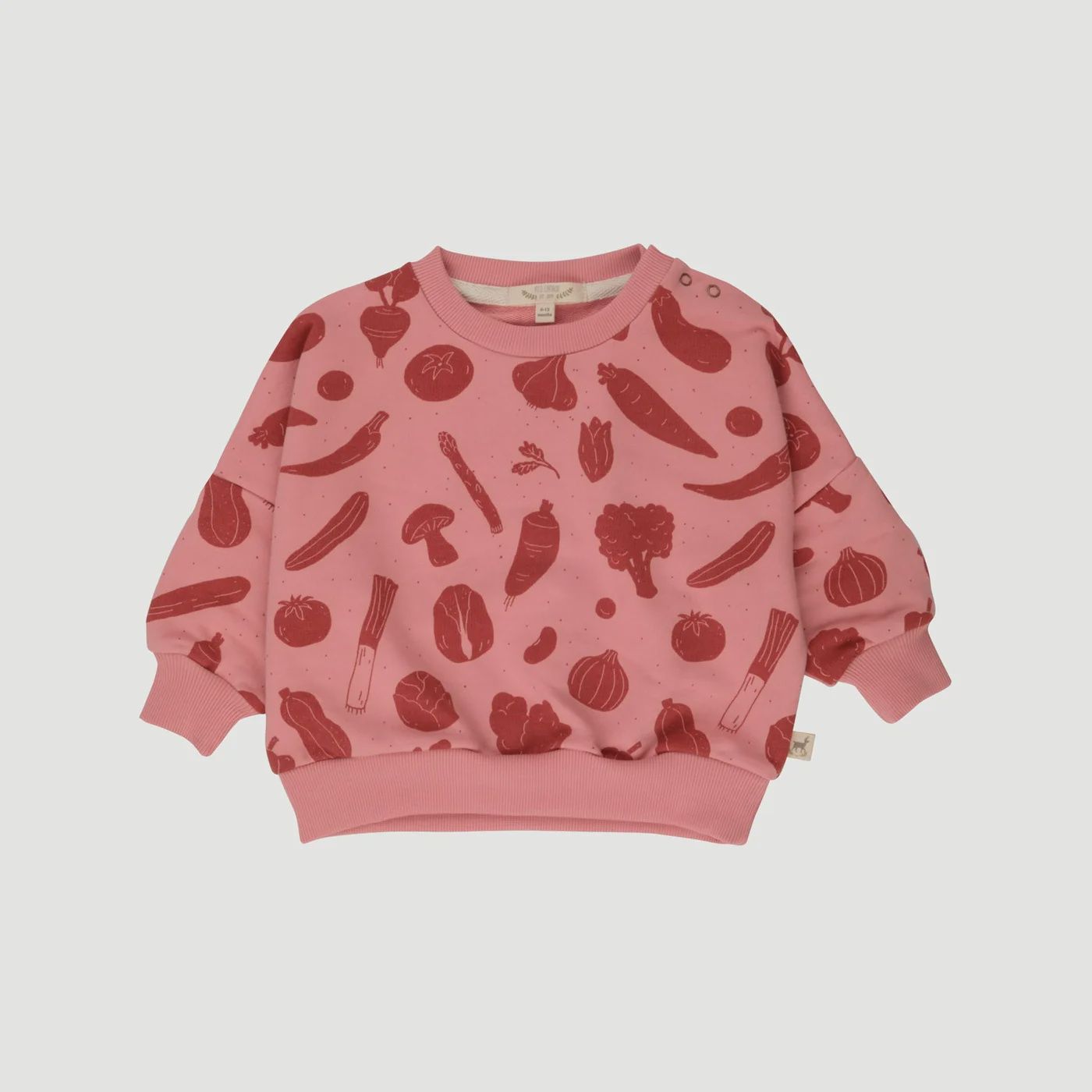 Baby French Terry Sweatshirt - Veggie Fiesta/ Blush