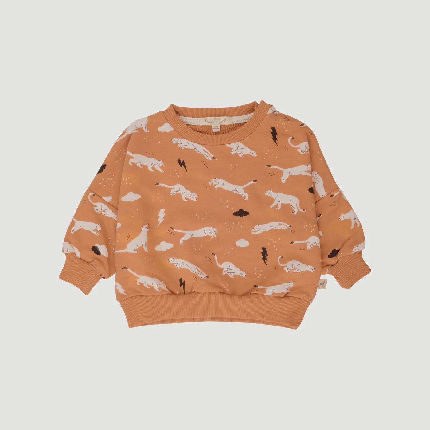 Baby French Terry Sweatshirt - Thunder Puma - Doe