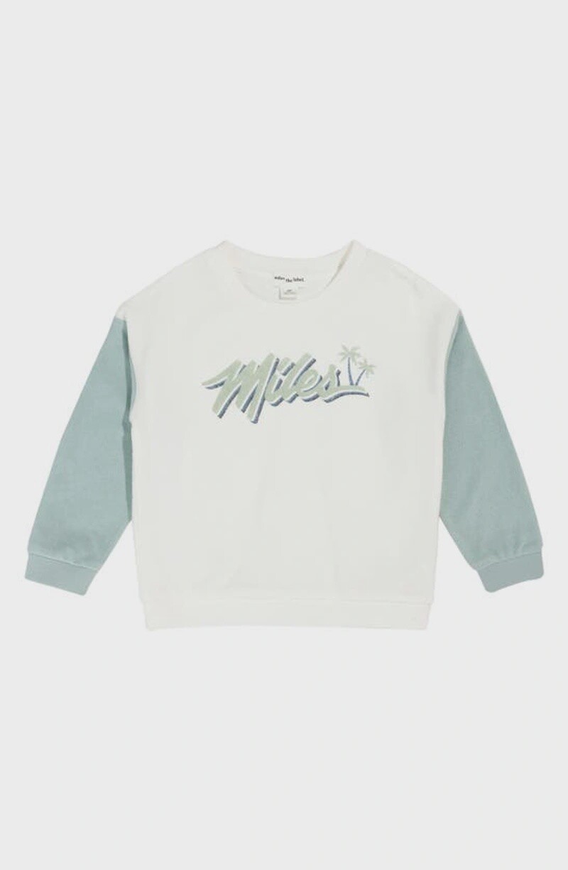 Boys Crewneck Sweatshirt - Terry Colorblock