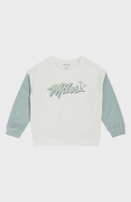 Boys Crewneck Sweatshirt - Terry Colorblock