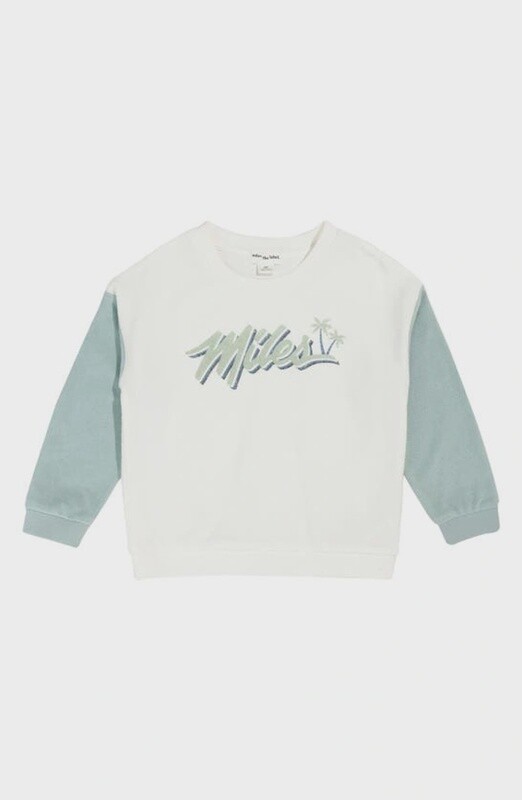 Boys Crewneck Sweatshirt - Terry Colorblock