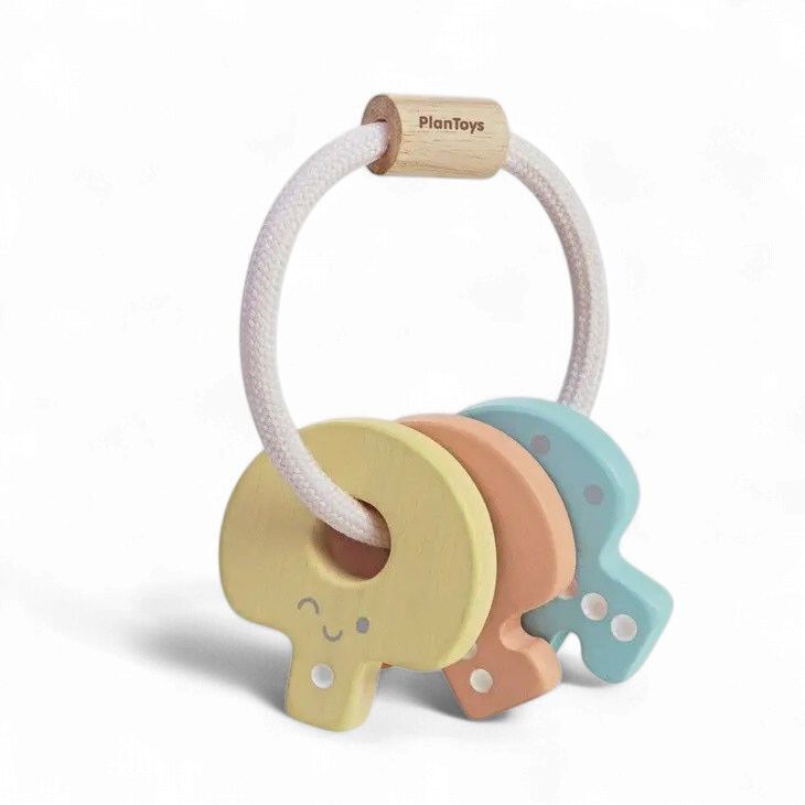 Baby Key Rattle - Pastel