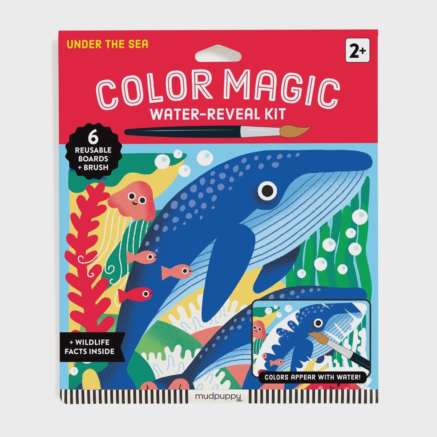 Under the Sea Color Magic Water-Reveal Kit