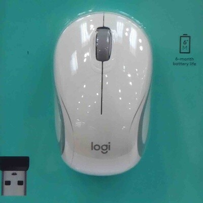 Logitech M187 mini mouse.