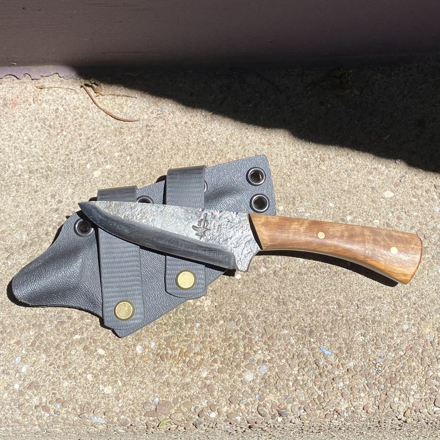 Spangler 6&quot; Belt Knife - Olive Wood