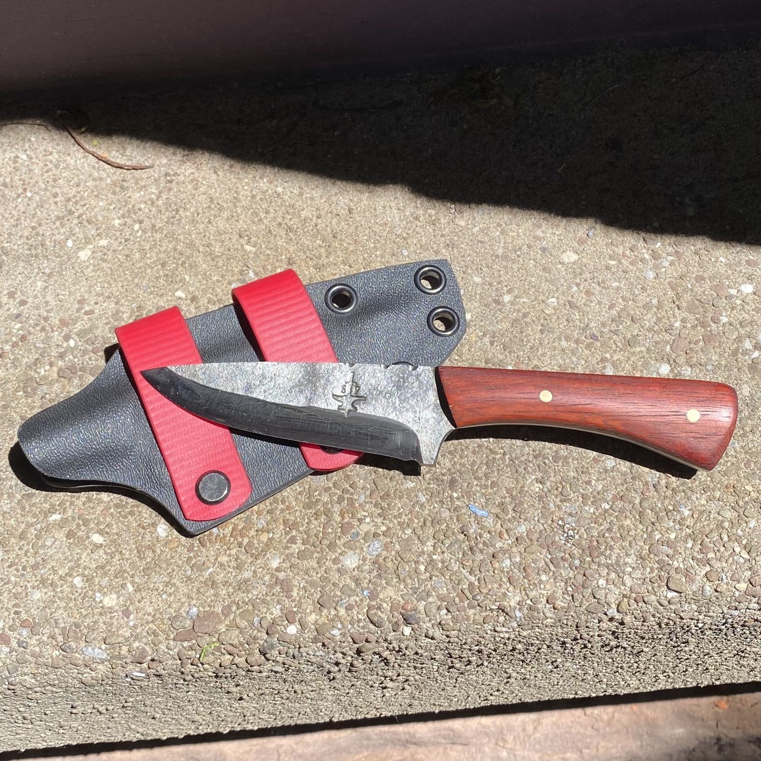 Spangler 6&quot; Belt Knife - Paduak Wood