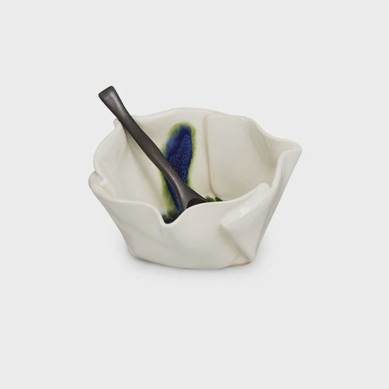 Hilborn Multi-Purpose Dish Northern Lights