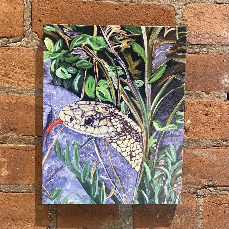 MCMULLEN Snake Coming Out of Rocks/Grass