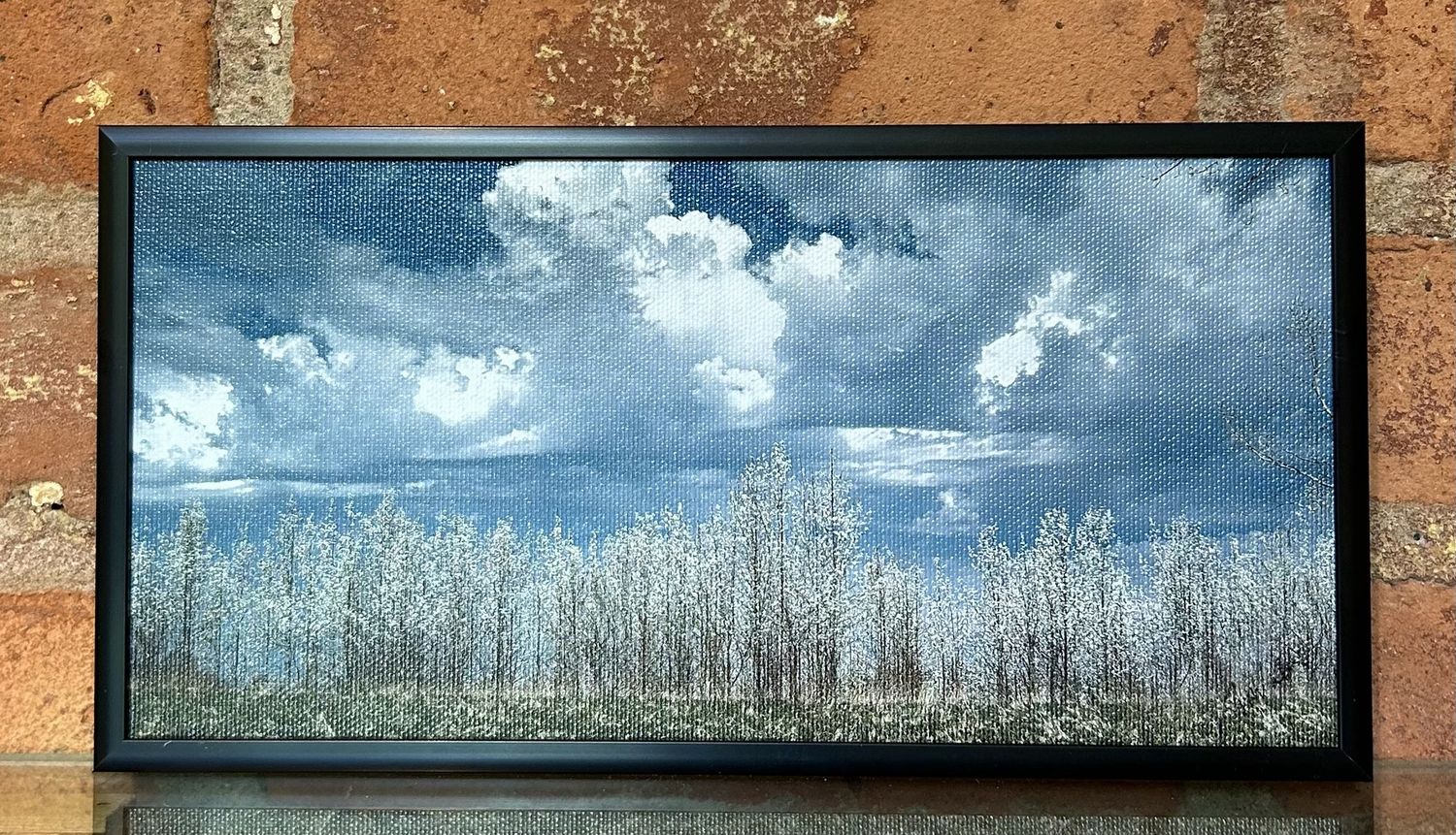 Wallace Framed Print Spring On Rawson Road