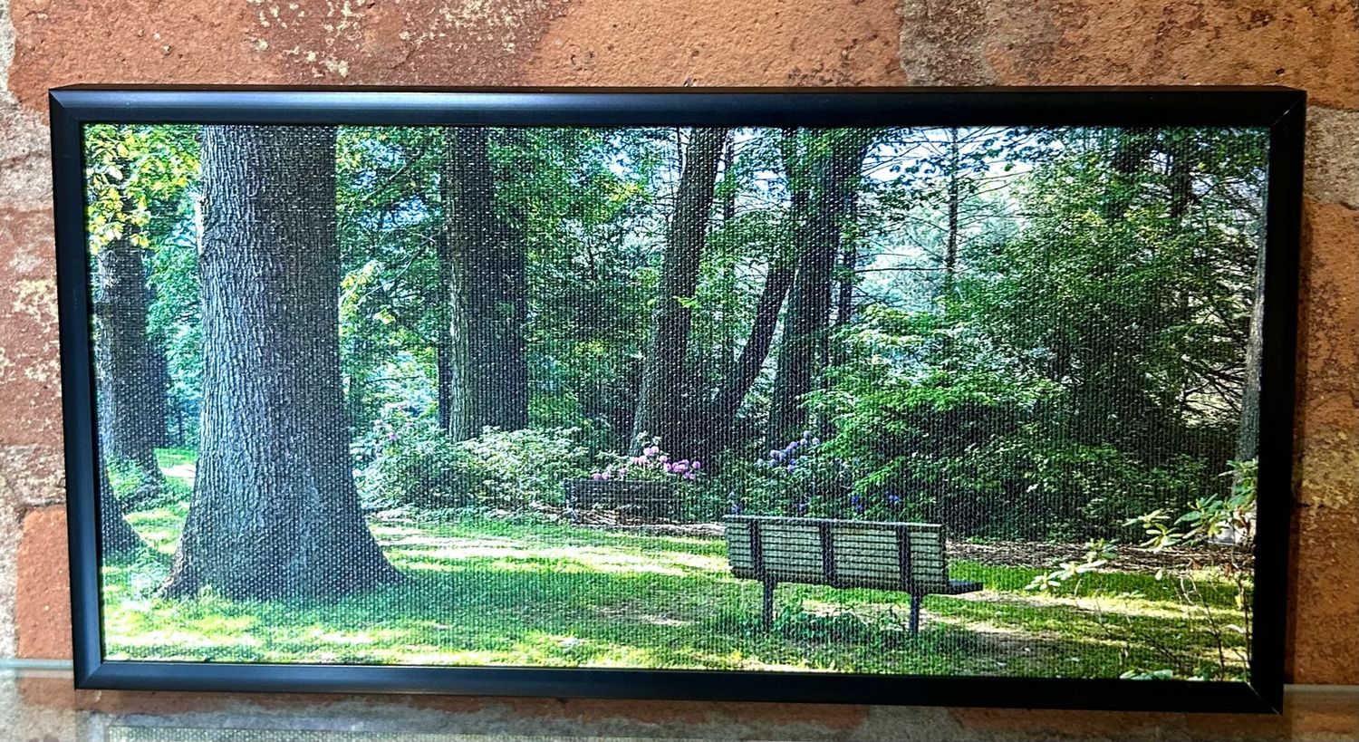 Wallace Framed Print Highland Park Trees and Bench