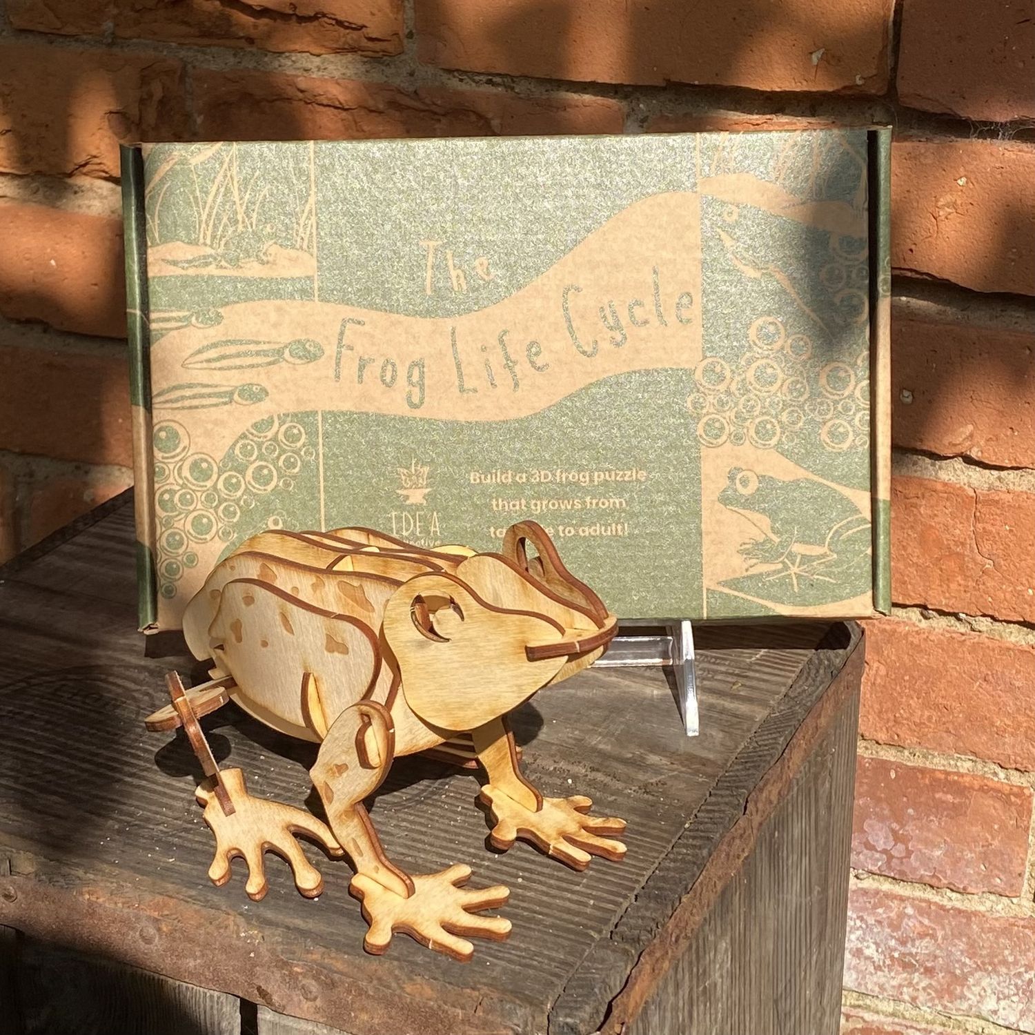 IDEA 3D Puzzle The Frog Life Cycle