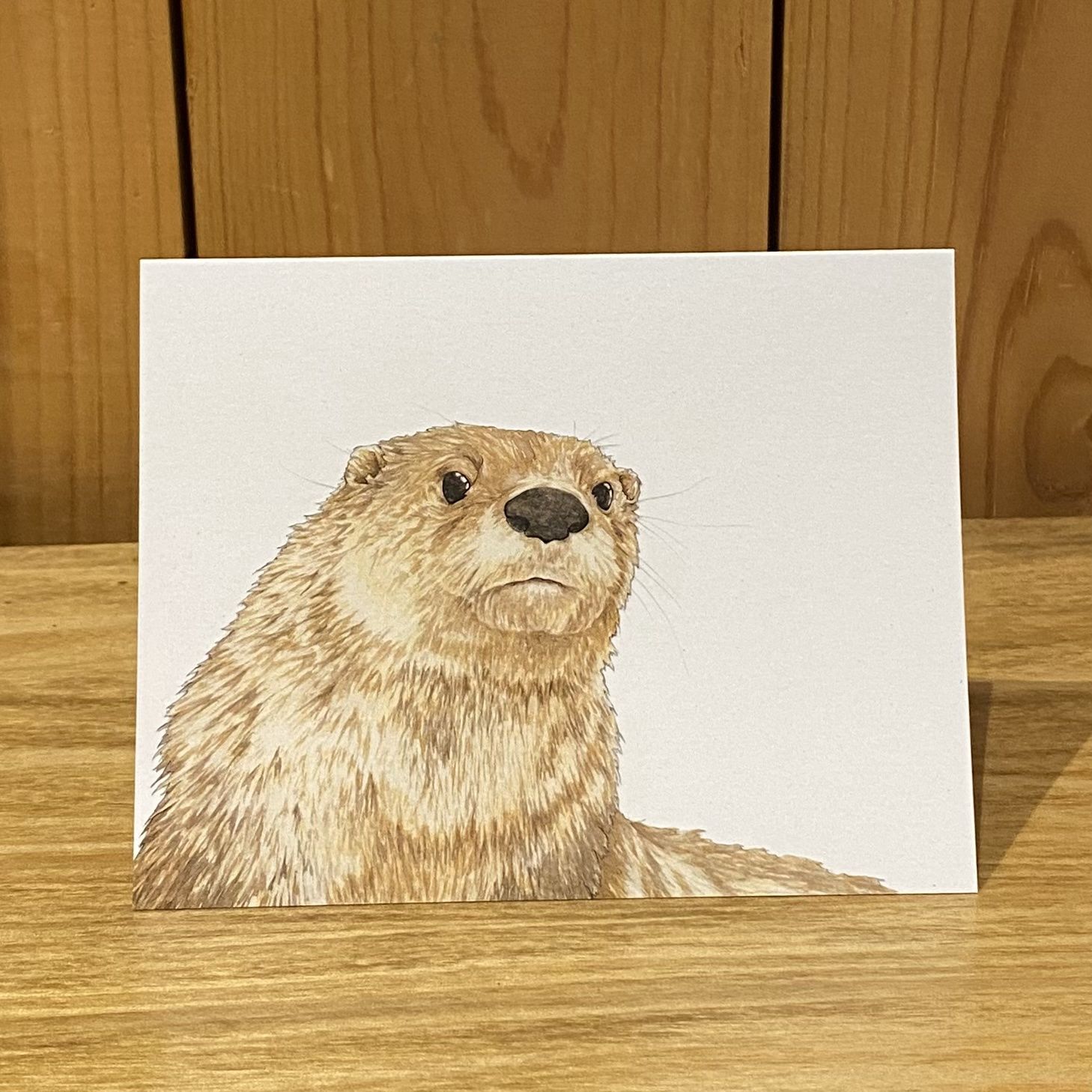 Vitticore Greeting Card Single Curious Otter