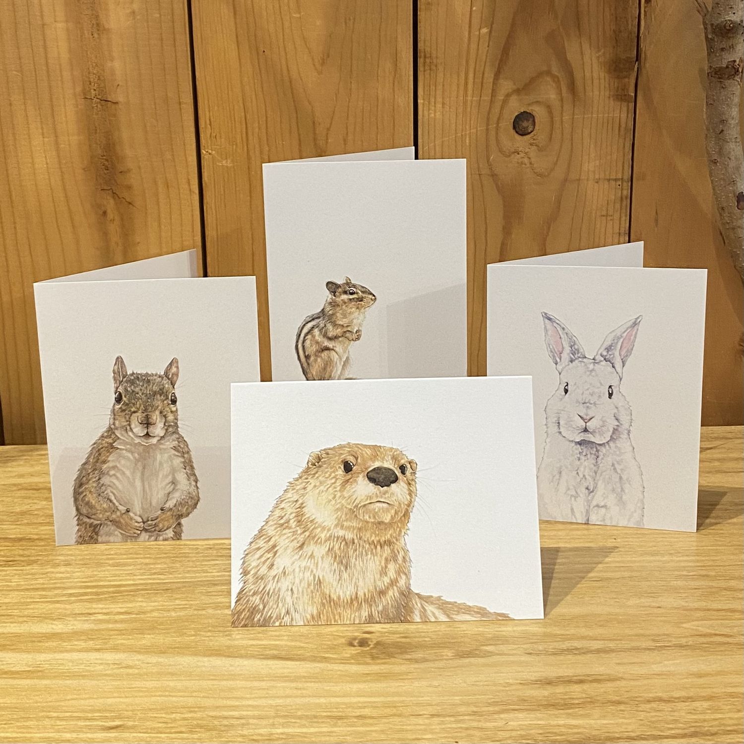 Vitticore Greeting Card 4 Pack 4 Designs