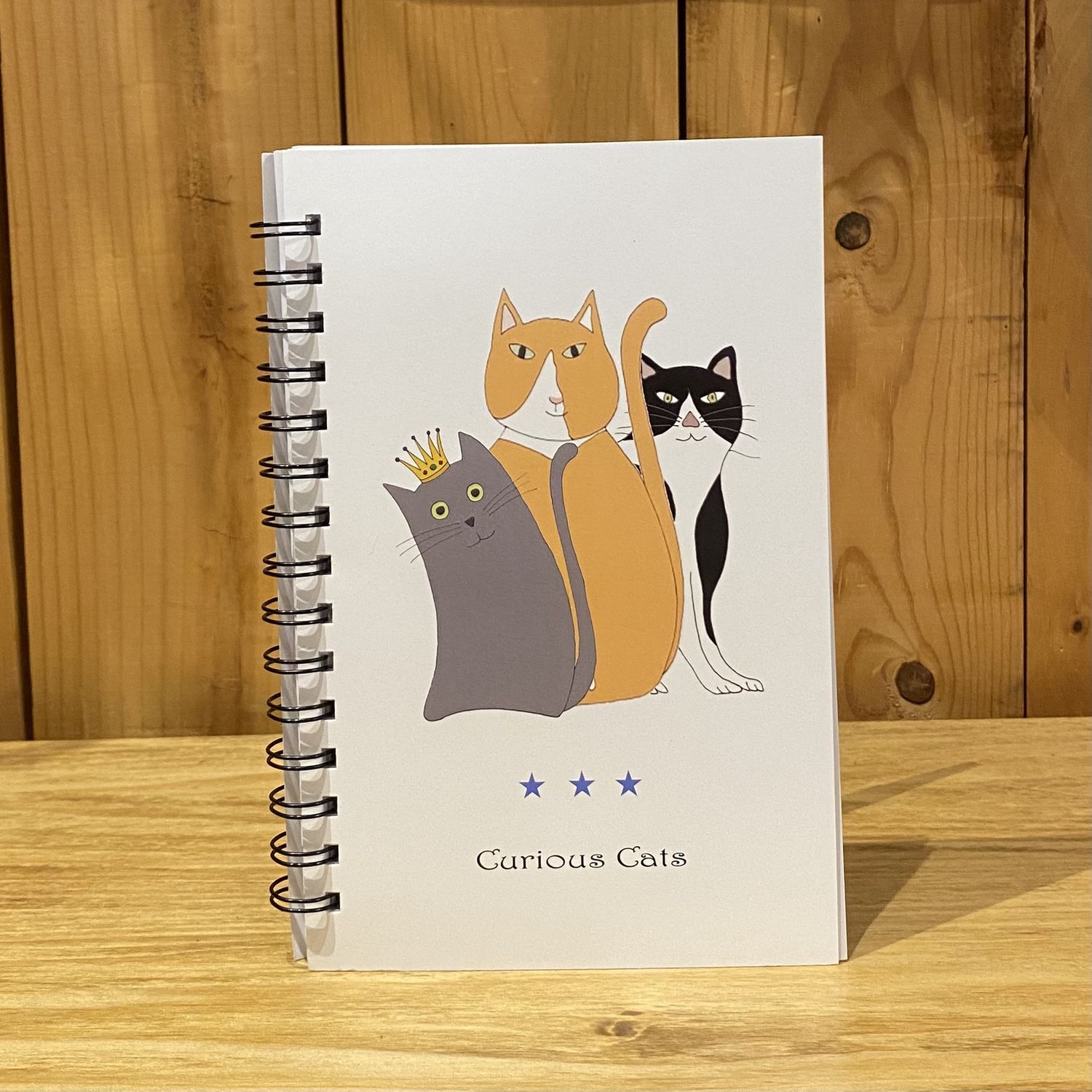 Stick With Mary Curious Cats Activity Journal