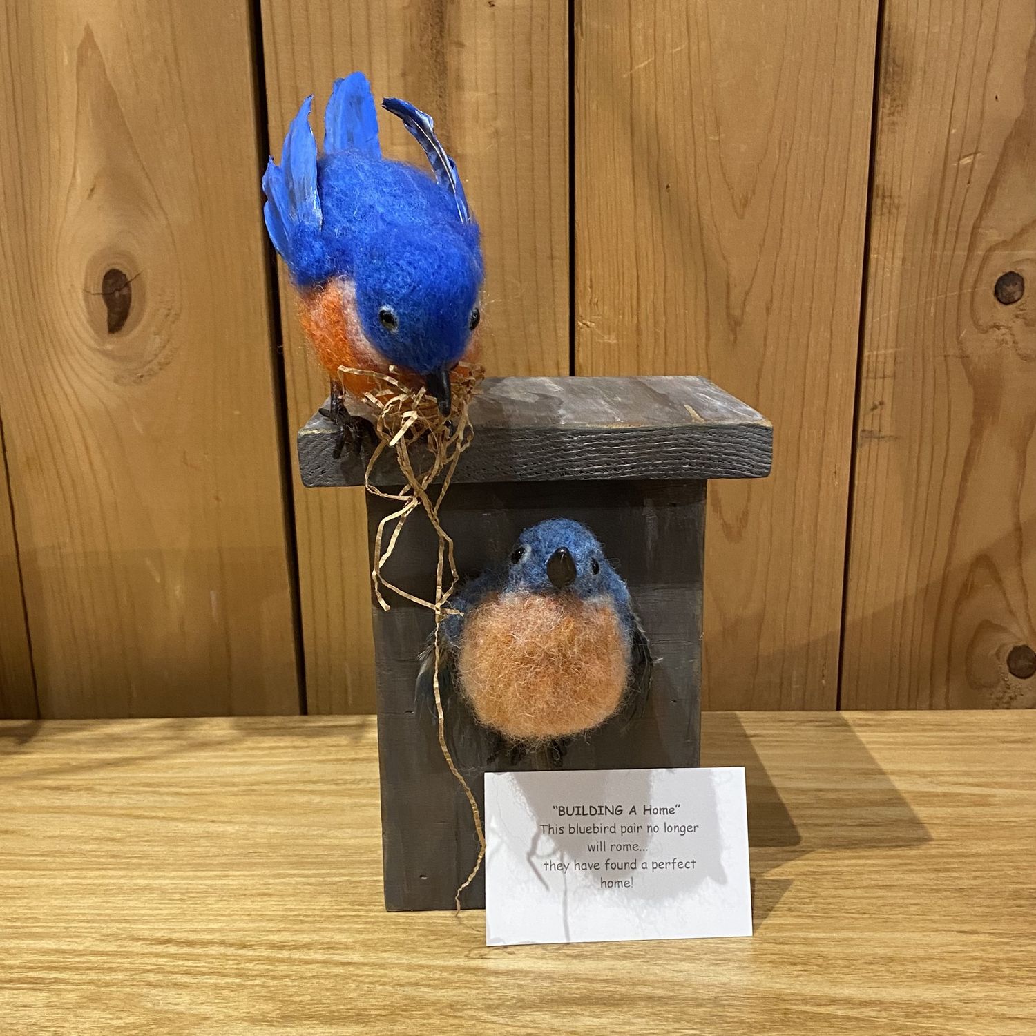 Wright Bluebird pair &quot;Building a Home&quot;