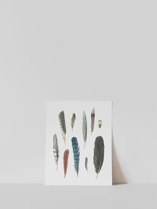 Vitticore Print Backyard Feathers 8x10