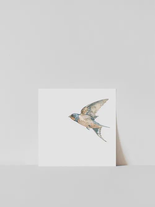 Vitticore Print Swallow 8x8