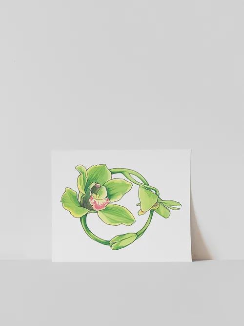 Vitticore Print Green Orchid 5X7