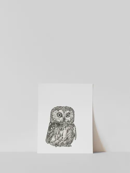 Vitticore Print Boo the Saw-Whet Owl 5X7