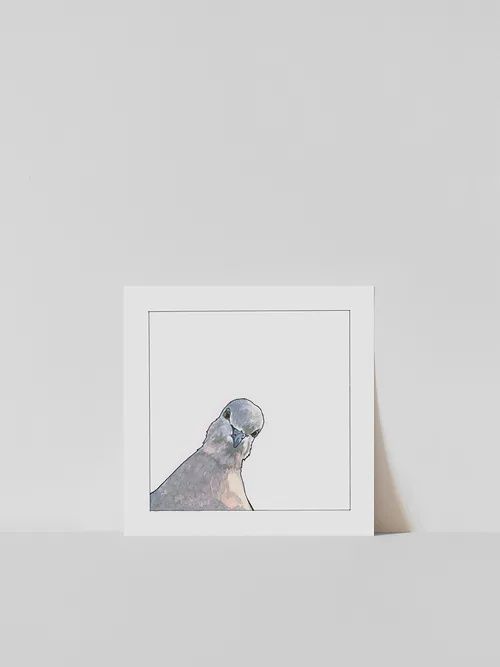 Vitticore Print Curious Pigeon 5X5