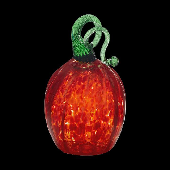 Kitras Oval Pumpkin