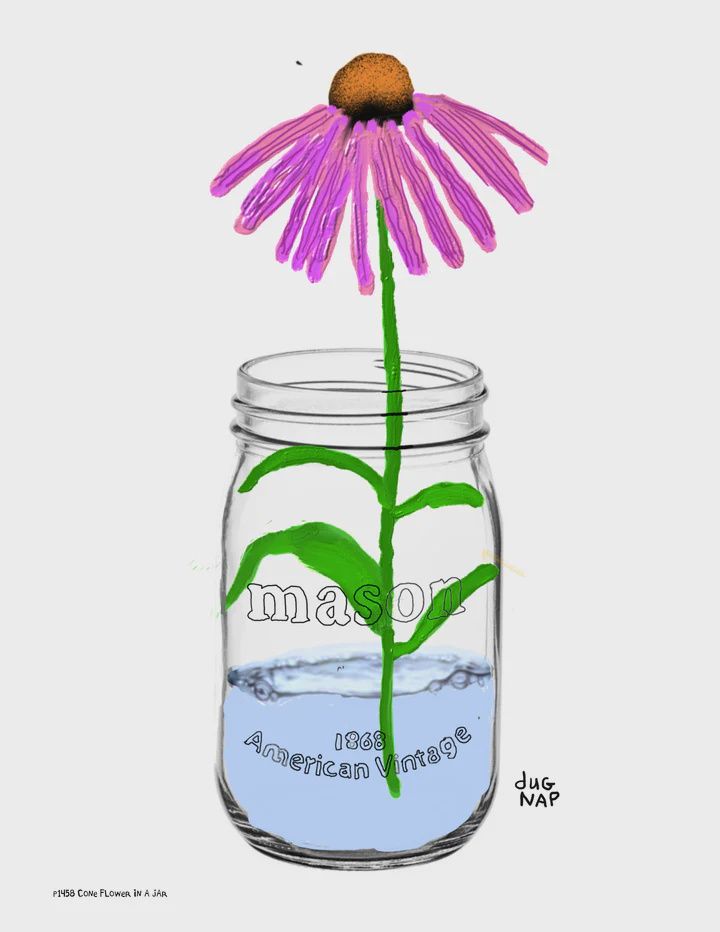 Dug Nap Print &quot;Coneflower In A Jar&quot;