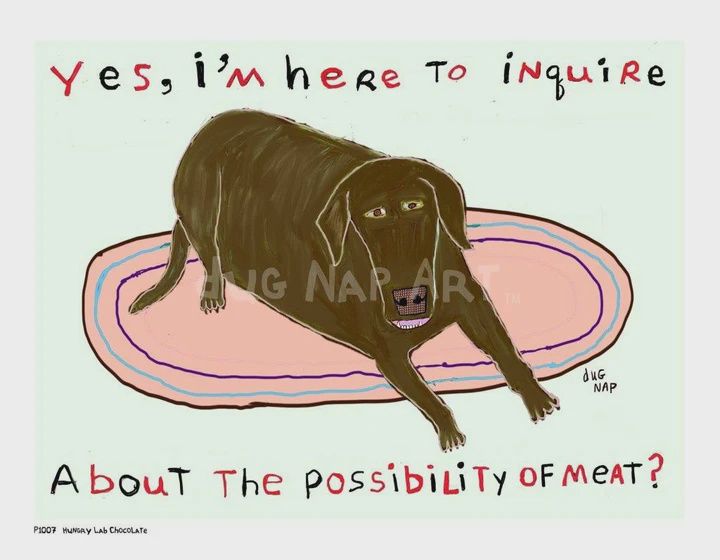 Dug Nap Print &quot; Hungry Chocolate Lab&quot;