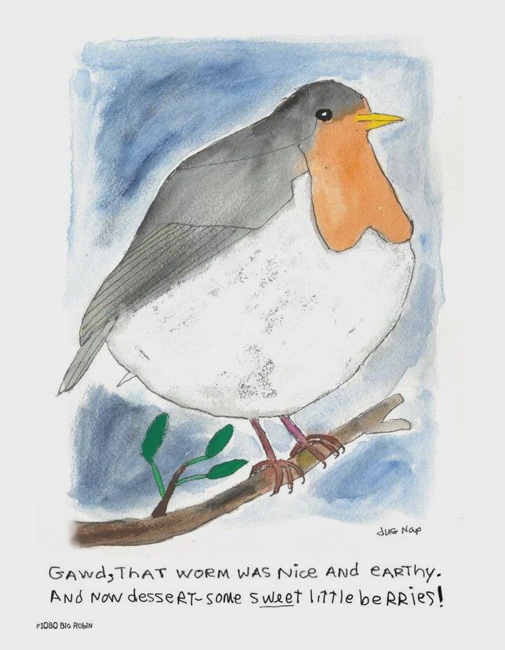 Dug Nap Print &quot;Big Robin&quot;