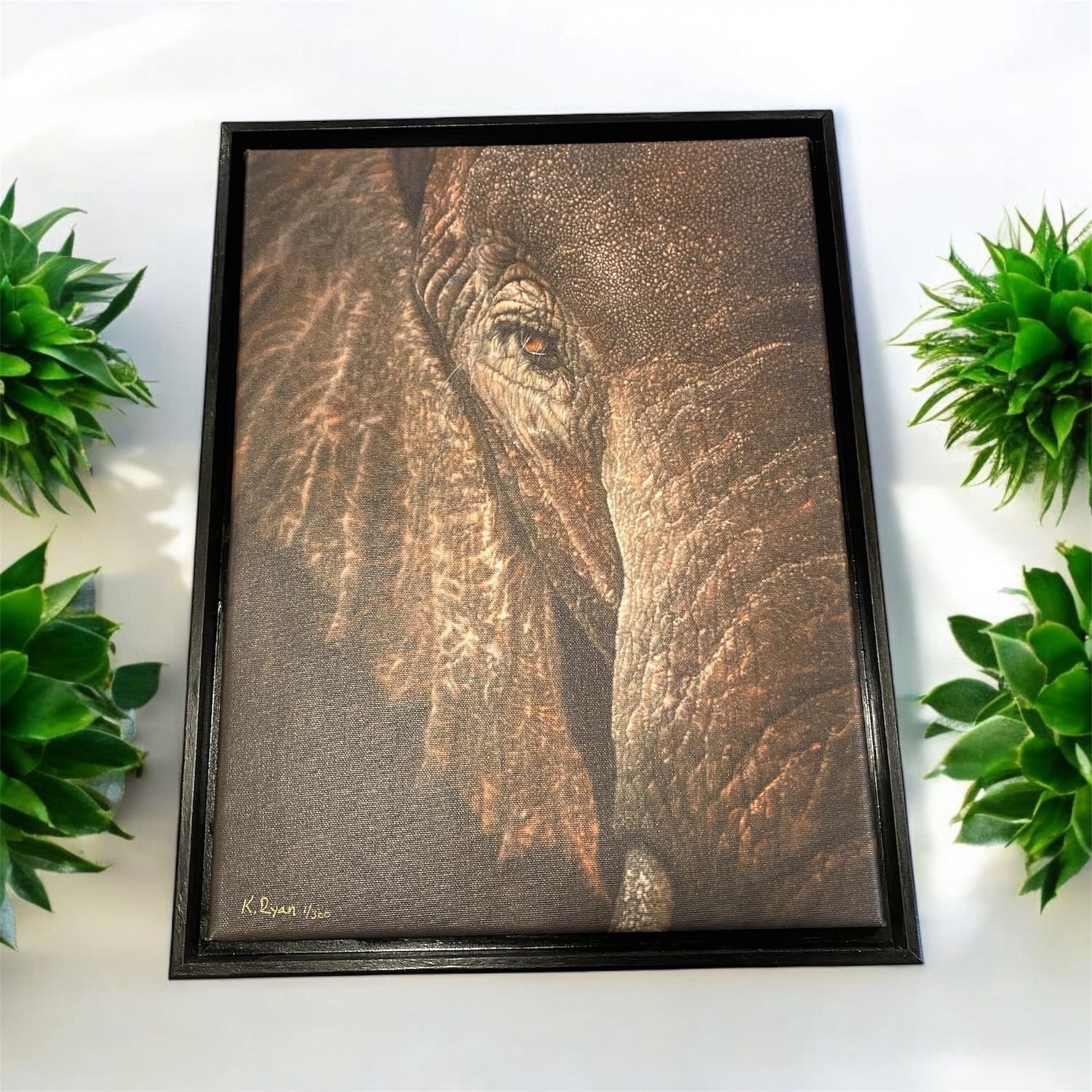 Ryan Print &quot;Recollection&quot; 12x16