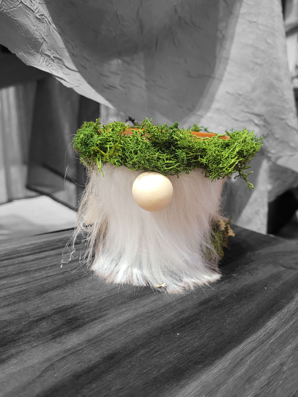 Wilson Planter Wilderness Gnome 6 with Grey Beard Foliage Crown