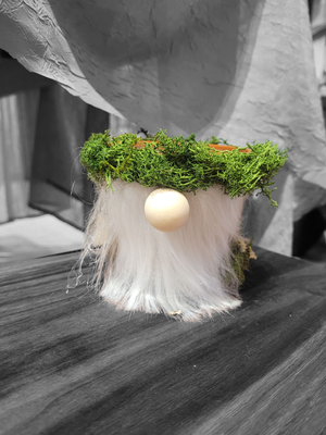 Wilson Planter Wilderness Gnome 6 with Grey Beard Foliage Crown