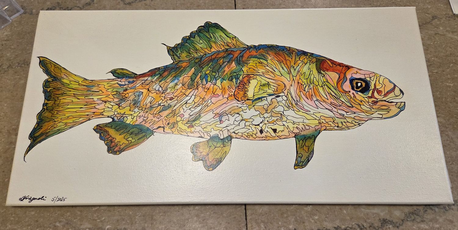 Fragnoli Painted  Rainbow Bass on Canvas