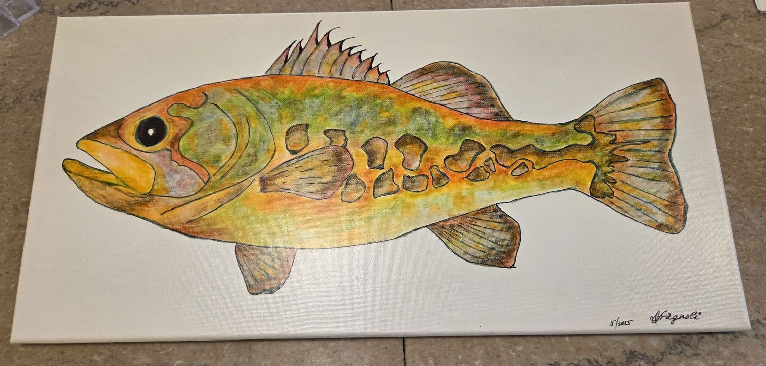 Fragnoli Painted Orange Bass on Canvas