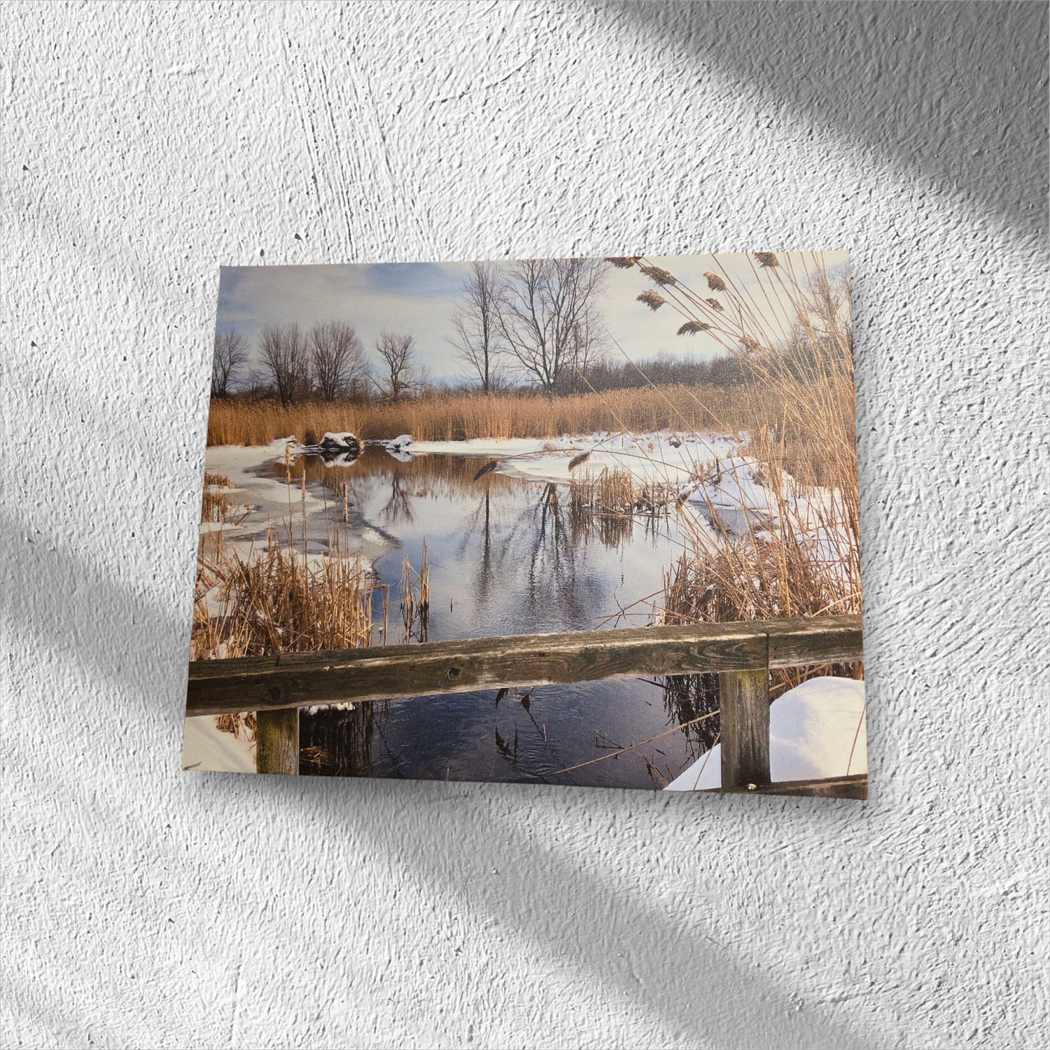 Leo &quot;Mendon Ponds Park in Winter&quot;
