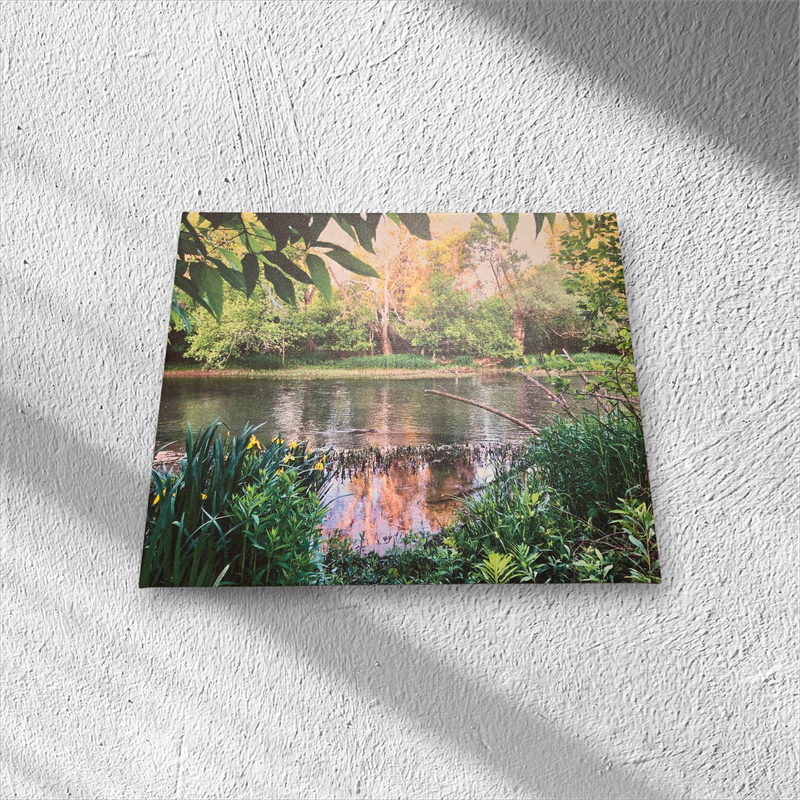 Leo &quot;Honeoye Creek in Honeoye Falls&quot;