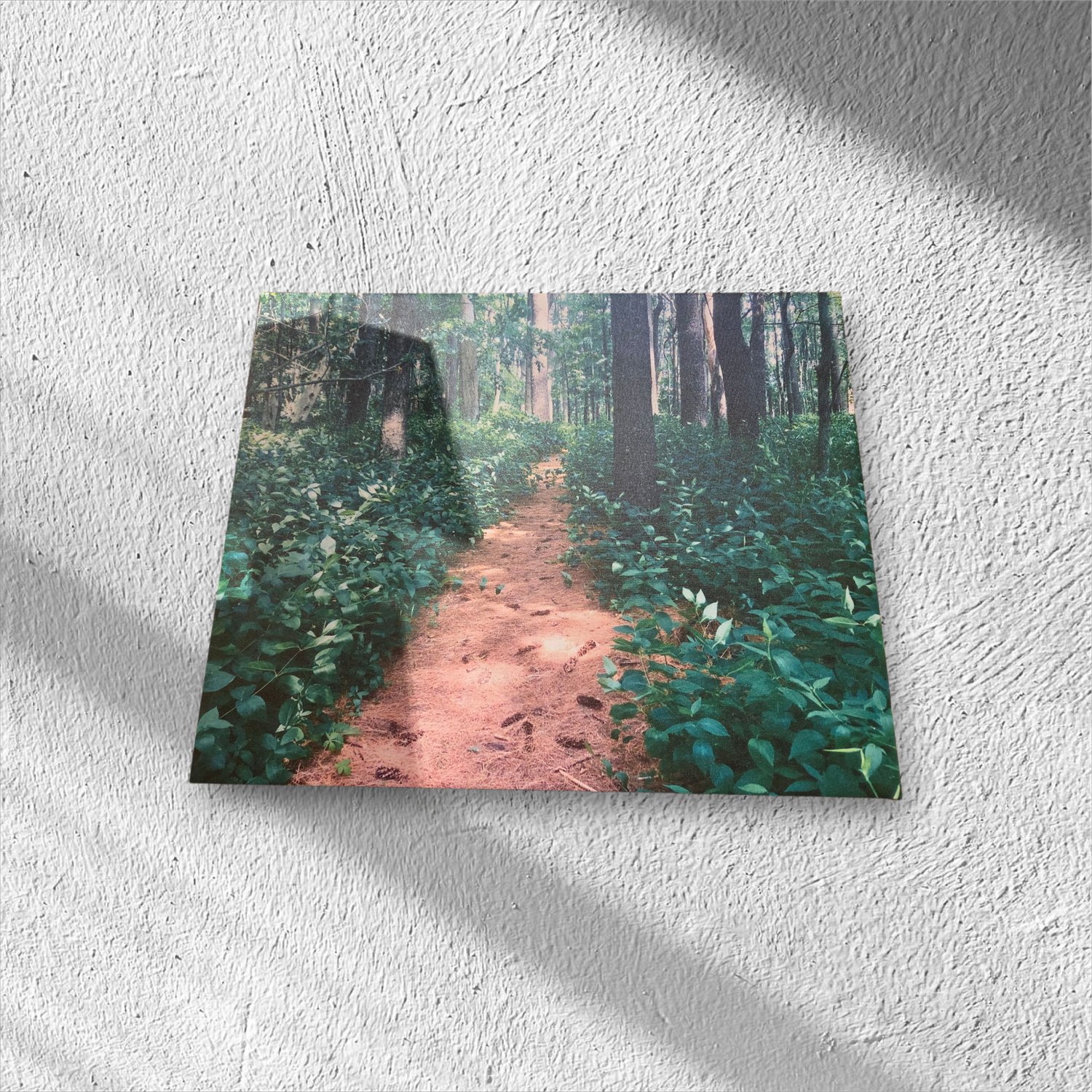 Leo &quot;Mendon Ponds Park Walking Trail&quot;