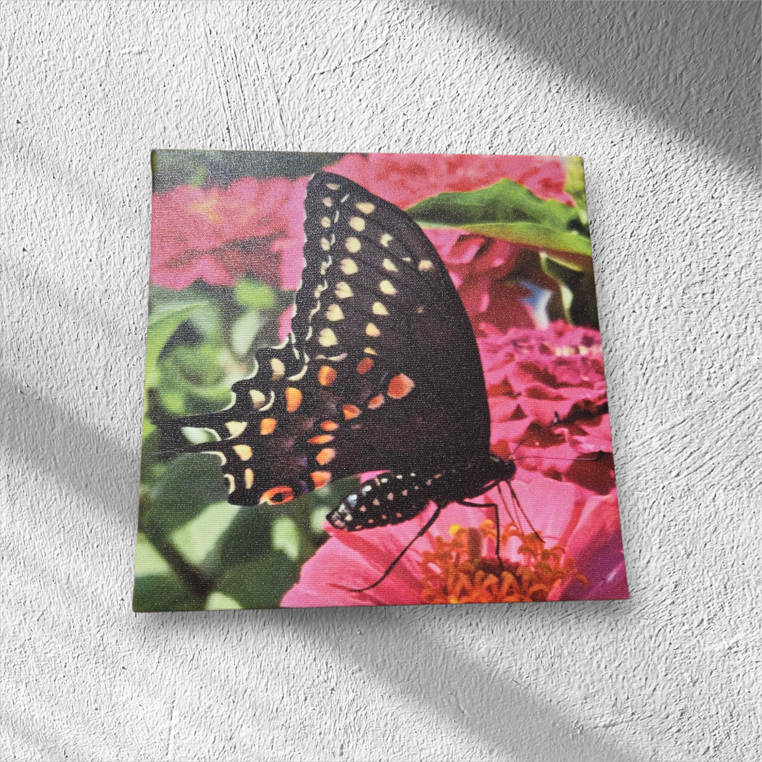 Leo &quot;Butterfly at Farm Market&quot;