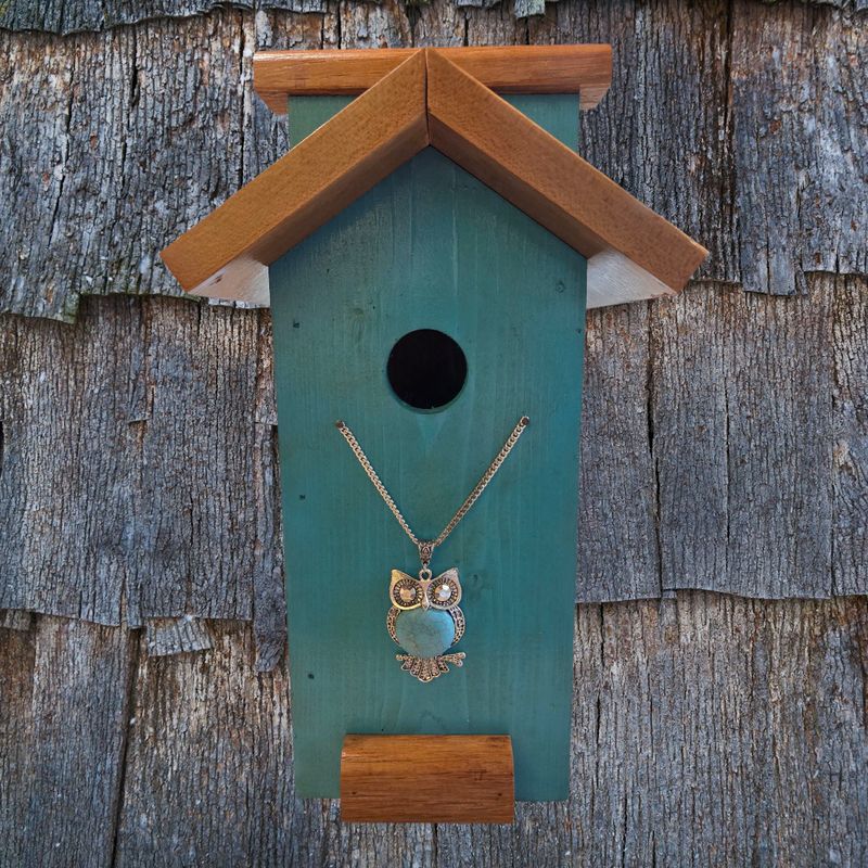 Rivers Birdhouse Turquoise with Owl Necklace