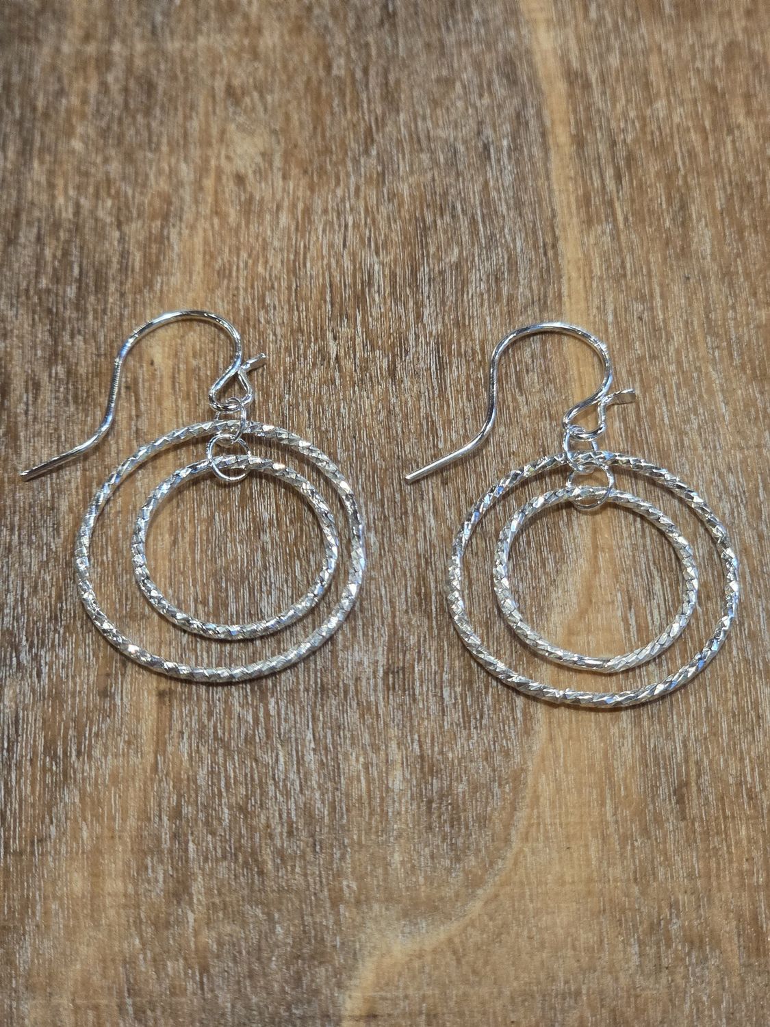 Steel Earrings Sterling Silver Circles