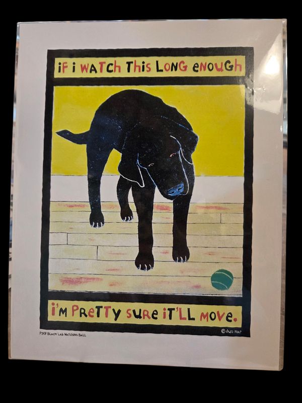 Dug Nap Print Lab Watching Ball (Black)