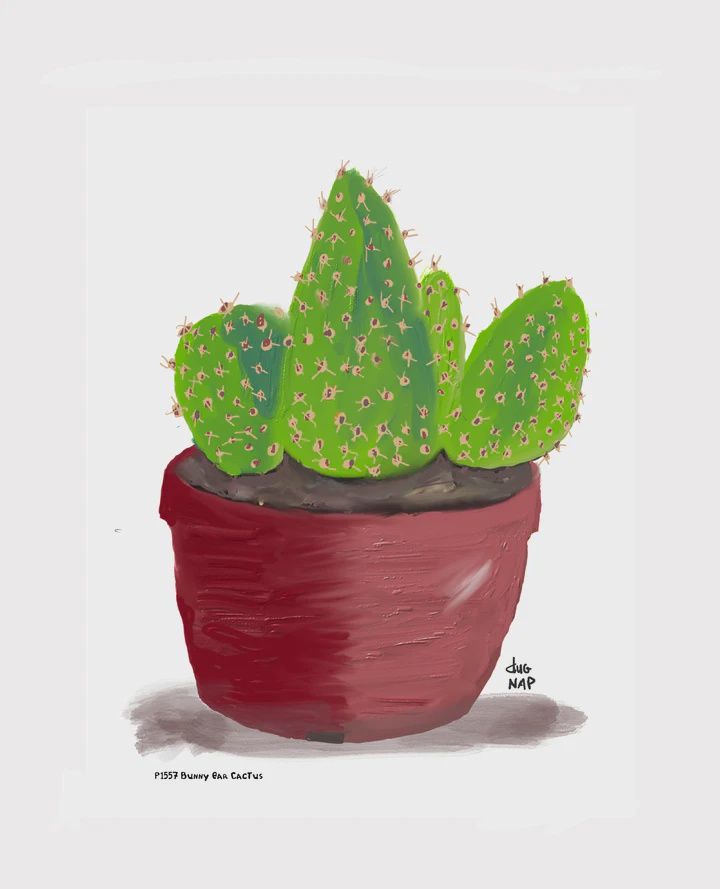 Dug Nap Print &quot;Bunny Ear Cactus&quot;