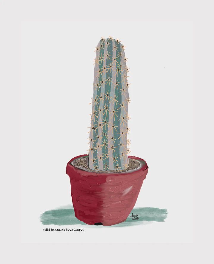 Dug Nap Print &quot;Brazilian Blue Cactus&quot;