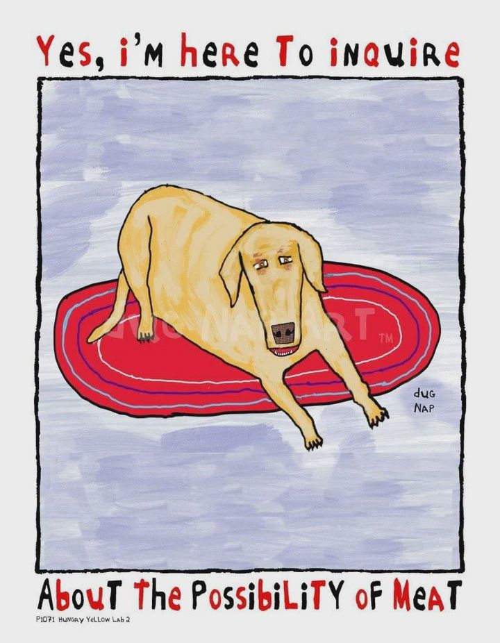 Dug Nap Print Hungry Yello Lab 2