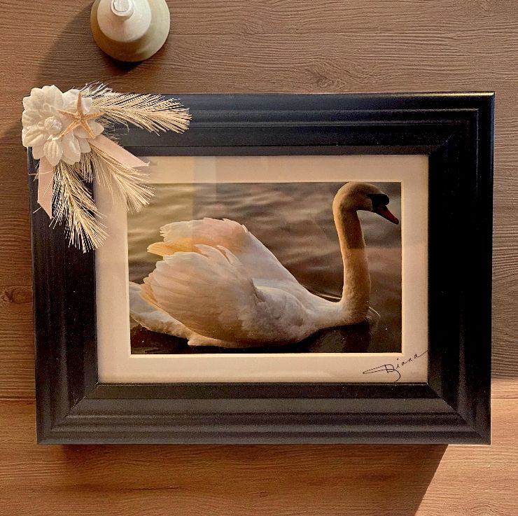 Mishler Framed Print Swan