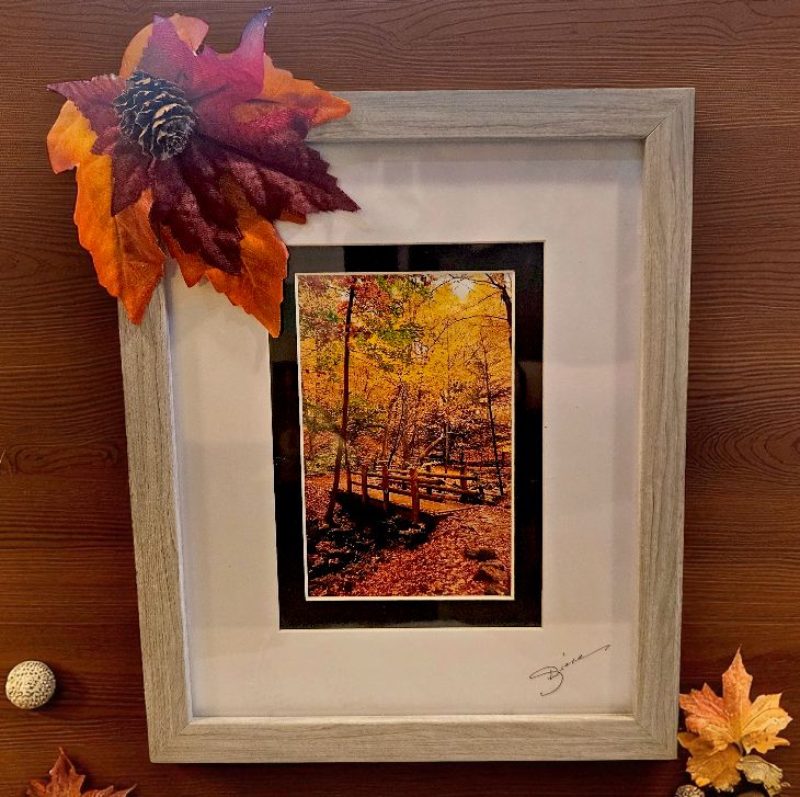Mishler Framed Print Large Autumn Path