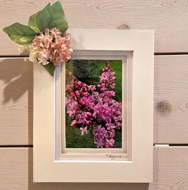 Mishler Framed Print Pink Lilac