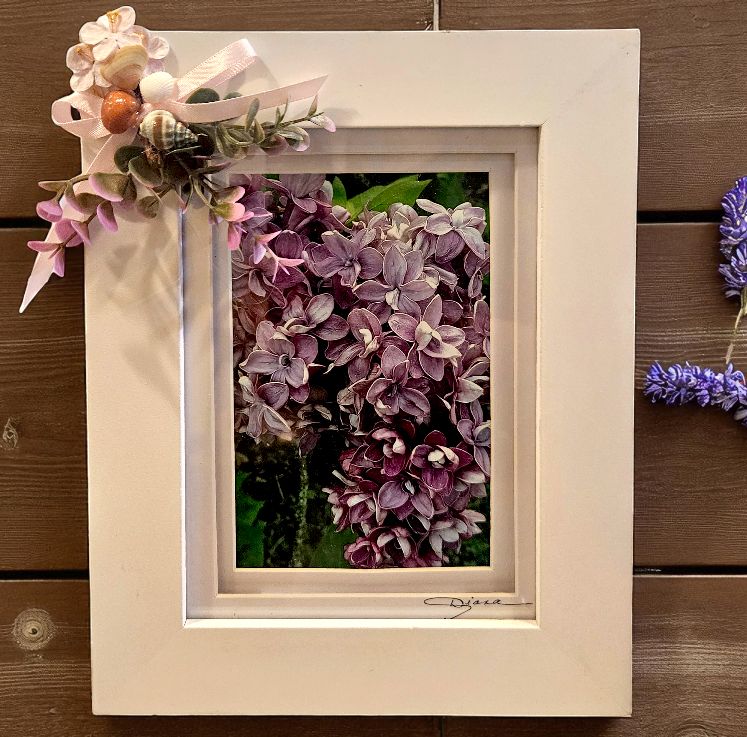 Mishler Framed Print Purple Lilac