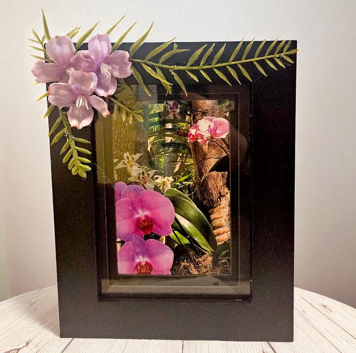 Mishler Framed Print Orchid