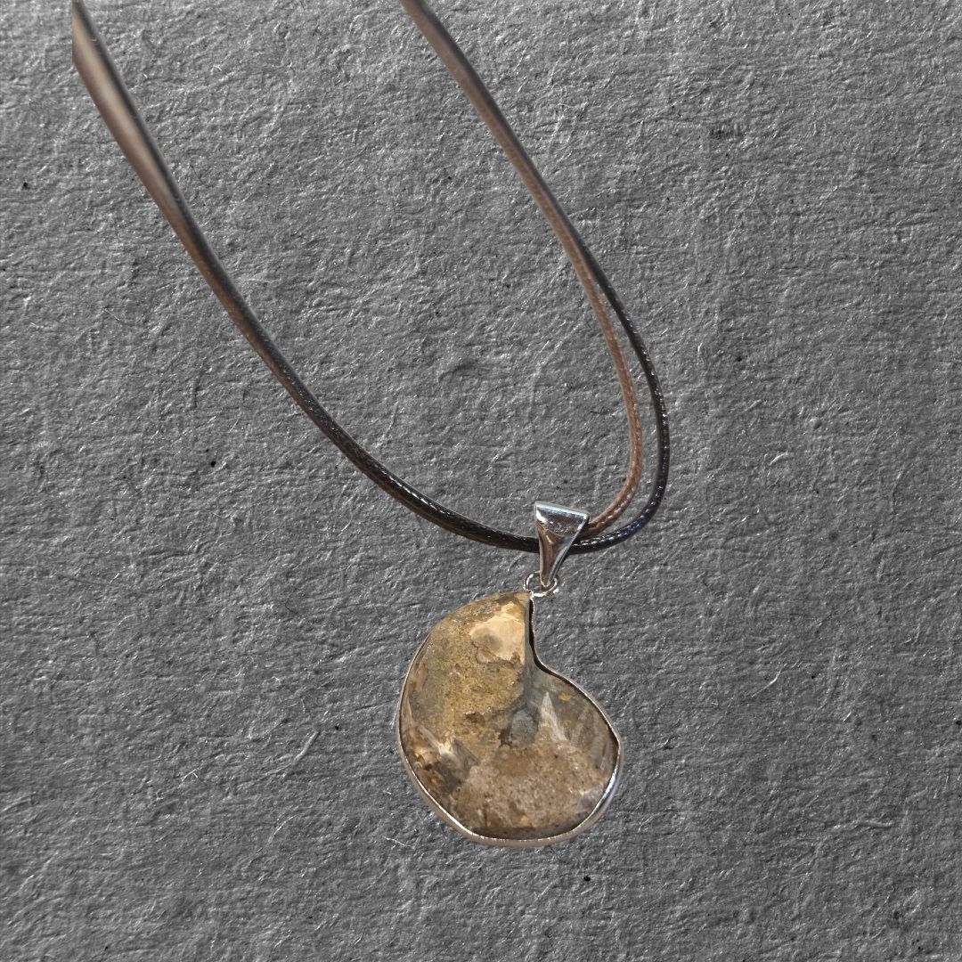 Nadeau Necklace Fossil on Leather Cord